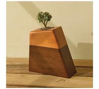 Plant Urn for Adult Human Ashes Cremation Wooden Urn by Aspen Studio