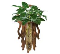 Plant Wall Propagation Station | Jellyfish Wood Room Decoration | Hydroponic Cuttings Planter | for Gardeners Beginners Home Office Living Room Kitchen Bathroom Bedroom Balcony
