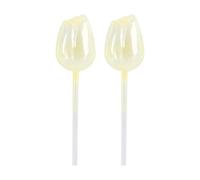 Plant Watering Bulbs - Automatic Confident Globes | 2 x Automatic Spikes Decorative Flower-shaped Glass for Watering, Car Planter Insert Inserts, Watering Device for Indoor Garden