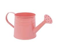 Plant Watering Can 1 Liter Flower Vase, Small Planter Pot