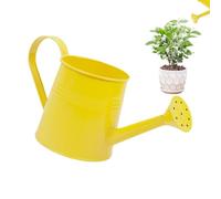 Plant Watering Can 1 Liter Flower Vase, Small Planter Pot