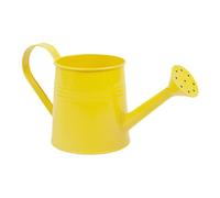 Plant Watering Can 1L Flower Vase Pot