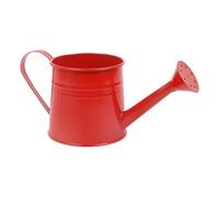Plant Watering Can 1L, Flower Vase, Small Planter Pot