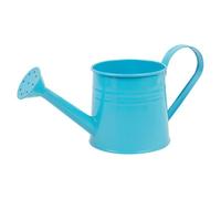 Plant Watering Can 1L Small Planter Pot Flower Vase