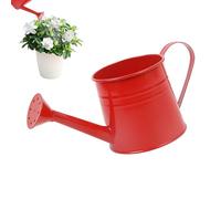 Plant Watering Can 1L Small Planter Pot Flower Vase