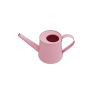 Plant Watering Can 8.4 oz/250 ml, Modern Stylish Decorative Indoor Watering Cans for House Plants with Long Spout,Durable Rustproof Small Water Can for Plants for Outdoor Bonsai Garden Succulents (A)