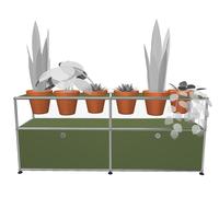 Plant worlds Sideboard Configuration 2 USM Haller Olive green - USM HALLER DE_QS_M47