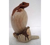 Plantation Designs Unusual Hand Carved Gecko Egg Wooden Lizard Hatching from Egg on Parasite Wood Decorative Light