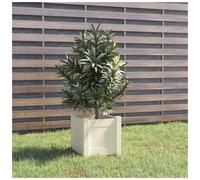 Planter 2-pack White Solid Pinewood 31x31x31 cm Cube Garden Box with Drainage