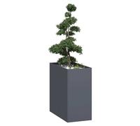 Planter Anthracite Cold-Rolled Steel 40x80x80cm Raised Garden Bed Balcony Patio