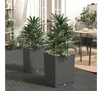 Planter Box Polypropylene Dark Grey 30x30x37cm 2pcs Lightweight Durable Outdoor
