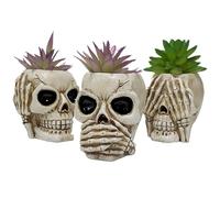 Planter Pot | Resin Skull Head Flower Pots - Creative Pot Candy Container Flowerpot Funny Planter Plant Bowl for Gothic Decor Home Table Decoration