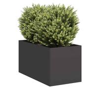 Planter Raised Bed Black Cold-Rolled Steel 40x80x40cm Outdoor Patio Box Deep XL