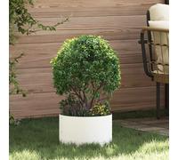 Planter Ring White Cold-Rolled Steel 30x30x20 cm Outdoor Garden Border Durable