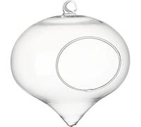Planter Terrariums Clear Flower HangingVase Glass PlanterHome Decor Garden Ball Planting Bottle Air Plant Holders