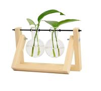 Planter Terrariums Hydroponic Plant Vases Glass Vase Vintage Bonsai Flower Pot Terrarium Tabletop Tray Wooden Frame Home Decor Air Plant Holders(2 bottles of logs)