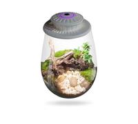 Planter Terrariums Micro Landscape Glass Bottle With Grow Light Succulent Moss Landscape Glass Terrarium For Home Garden Air Plant Holders(White S)