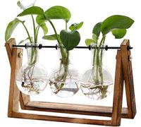 Planter Terrariums Plant Terrarium With Wooden Stand Planter Bulb Glass Vase Metal Swivel Holder Tabletop Air Plant Holders