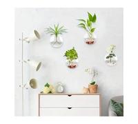 Planter Terrariums Transparent Glass Vase Wall Hanging Hydroponic Terrarium Fish Tanks Potted Plant Flower Pot Dia 8cm/10cm/12cm Air Plant Holders(10cm)