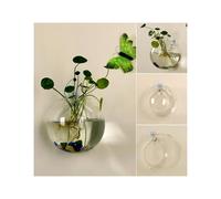 Planter Terrariums Transparent Glass Vase Wall Hanging Hydroponic Terrarium Fish Tanks Potted Plant Flower Pot Dia 8cm/10cm/12cm Air Plant Holders(8cm)