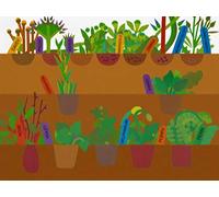 Planting a Rainbow