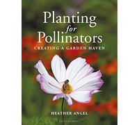 Planting for Pollinators: Creating a Garden Haven