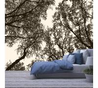 Plants and Trees Landscape 300(W) X210(H) Cm 3D Wall Murals Wallpaper, 3D Wall Mural Space Decor Paintings Pre-Paste Wall Paper, Suitable for Tv Background Wall Living Room and Bedroom -2737158