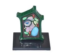 Plants Cells Biological Model Plant Cells Anatomy Medical Organs