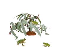 Plants for Reptiles Terrarium - Artificial Realistic Green Plants, Bearded Dragon Artificial Leaves, for Fish Turtles Betta Gecko Leopard Chameleon Frogs Amphibians