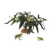 Plants for Terrarium, Realistic Aquatic Decoration - Artificial Leaves for Bearded Dragon, for Gecko Chameleon Habitat Frog Betta Turtle Amphibians