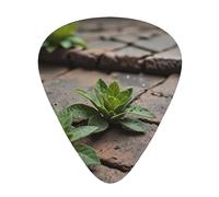 Plants growing printed guitar picks, 12-piece set with thin, medium, and thick styles, comes with a storage case
