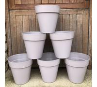 Plants2Gardens Eden Planters x6