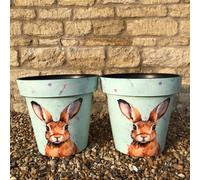 Plants2Gardens Hare Planter Pair