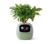 PLANTSIO Smart pet Planter Robot Guidance on Plant Care with Emojis, Adorable Plant Companion with Rich Gesture Interaction, Neat Desk Setup Gift (Green)