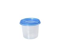 Plast Team Helsinki Freezer Box, 300 ml