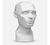 Plaster Cast : Head 1.0