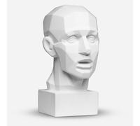 Plaster Cast : Head 2.0