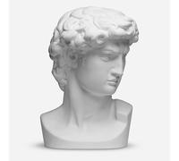 Plaster Cast : Head of David of Michelangelo
