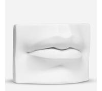 Plaster Cast : Lips of David