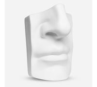 Plaster Cast : Nose and Lips of David