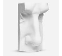 Plaster Cast : Nose of David