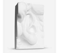 Plaster Cast : Right Ear of David