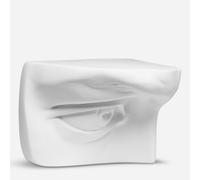 Plaster Cast : Right Eye of David