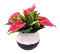 Plastic and Fabric Based Artificial Calla Lily in Decorative Pot for Contemporary For Home Interior Decoration (Red)