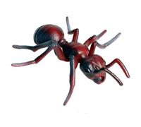 Plastic Ants, Realistic Animal Figurines, Fake Ants Growth Cycle, Science Project Early Educational Toys