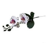Plastic Artificial Butterfly Orchid 36cm Long Lasting(Purple Dot White)