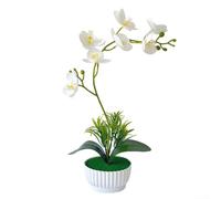 Plastic Artificial Phalaenopsis Orchid in Pot for Indoor Decor with 7-Head Bloom and Detailed Veining for Visual Authenticity (White)