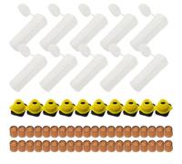 Plastic Bee Queen Rearing Complete Cup Kit with Box Cage and Accessories for Facilitating Queen Egg Laying and Larvae Transfer in Applications