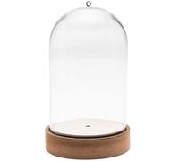Plastic Bell Jar Dome on Wooden Stand | 27cm Tall | For Arts, Crafts & Display
