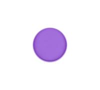 Plastic Book Binding Discs 30 Pcs 2 Inch Discbound Discs, Colored Plastic Expander Rings for Binder(Purple)